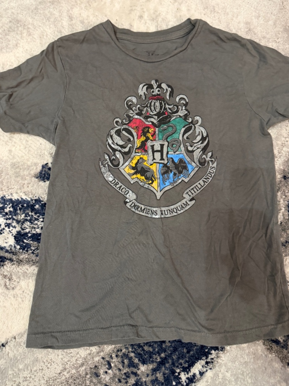 Harry Potter Hogwarts Crest Universal Studios Boys T-Shirt